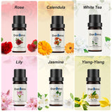 Daroma™ FLORAL DIFFUSER BLEND COLLECTION